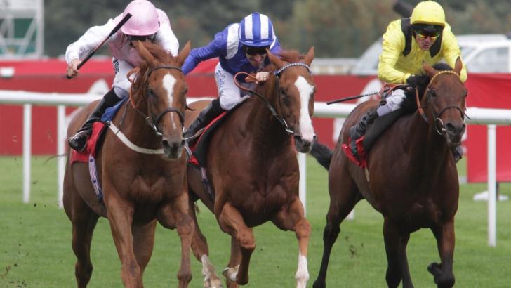 Normandie Stud silks John Gosden 
